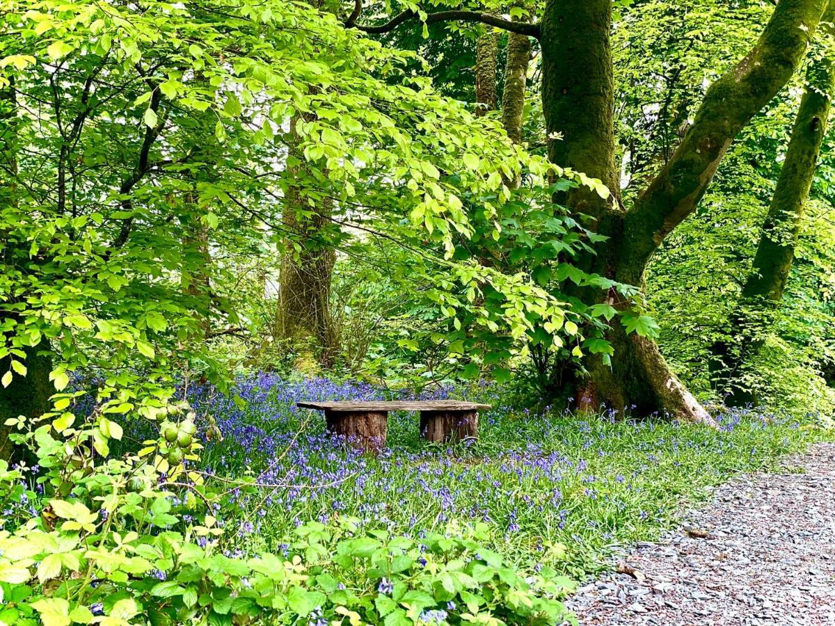 Snowdonia Holidays Caravan Hire - Aberdunant Park - 34 The Green Prenteg 외부 사진