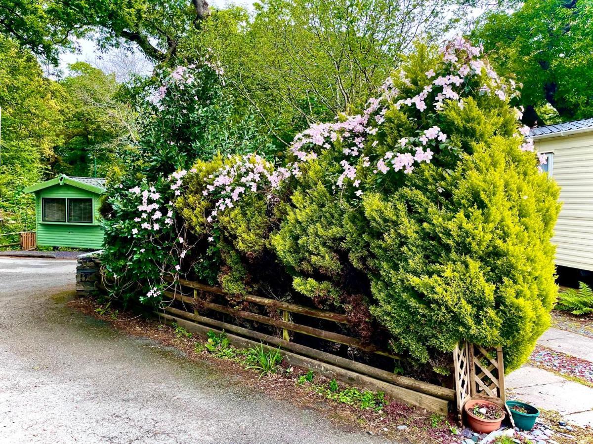 Snowdonia Holidays Caravan Hire - Aberdunant Park - 34 The Green Prenteg 외부 사진