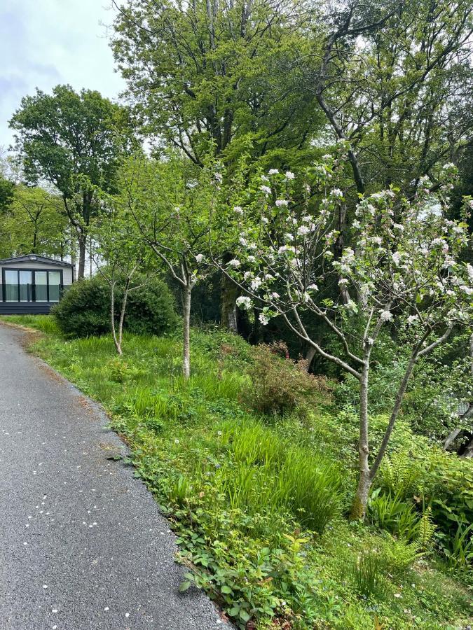 Snowdonia Holidays Caravan Hire - Aberdunant Park - 34 The Green Prenteg 외부 사진